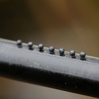 Guru Micro Shot